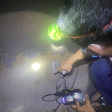 z5557111691851_0a90161bb16f4a2a5dc012833d29eb40